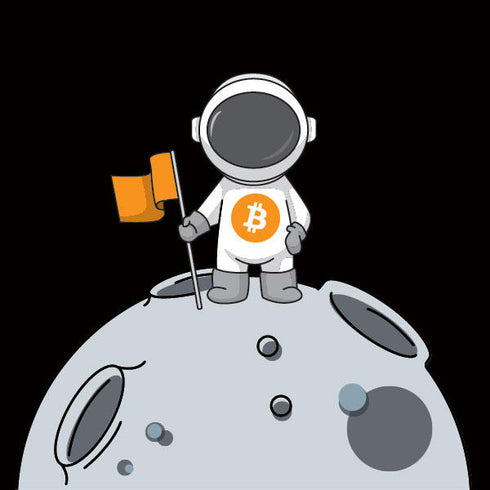 Bitcoin Astronaut Apple Pencil (2nd Gen 2019) Skin